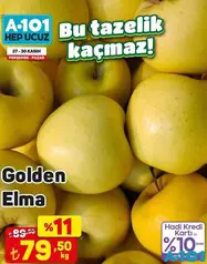 GOLDEN ELMA KG fiyat ve kampanya bilgisi